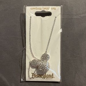 DisneyLand Resort Limited Addition Necklace